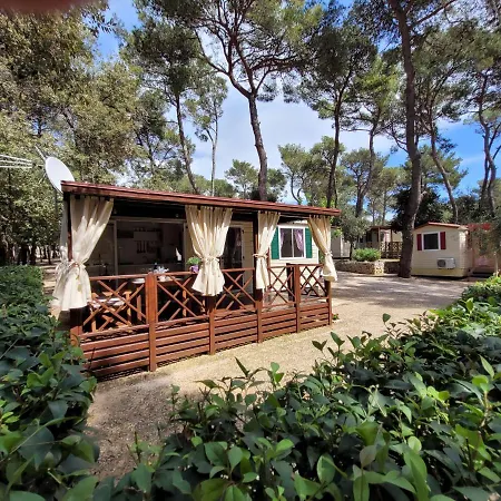 Mobile Homes Soline Holiday park Biograd Na Moru