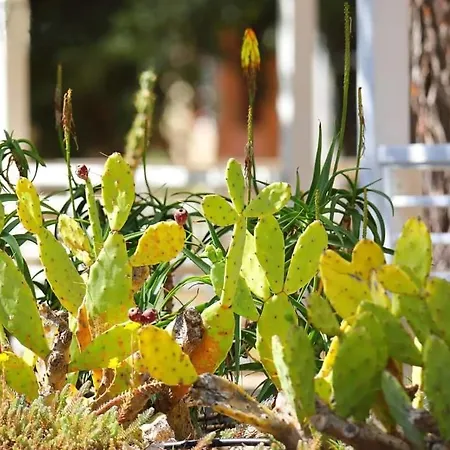 Mobile Homes Soline Holiday park 4*