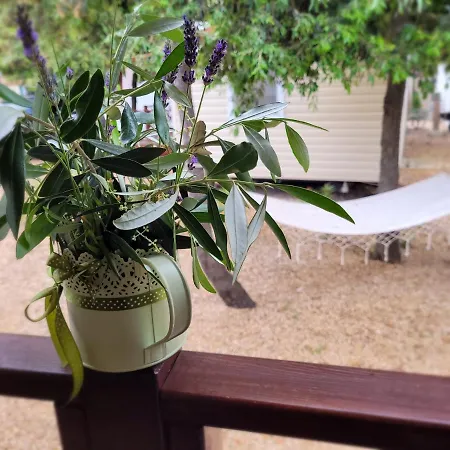 索利纳活动房屋假日公园 假日公园 4*