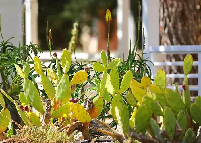 Mobile Homes Soline Üdülőpark 4*