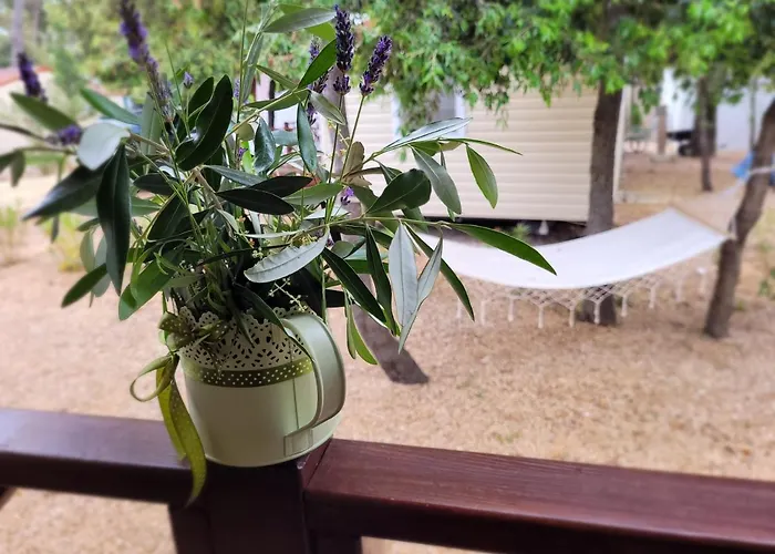 Mobile Homes Soline Vakantiepark 4*